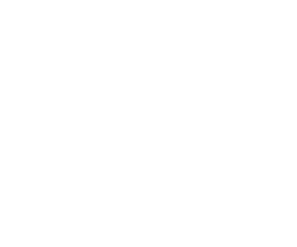 Regale Concepts